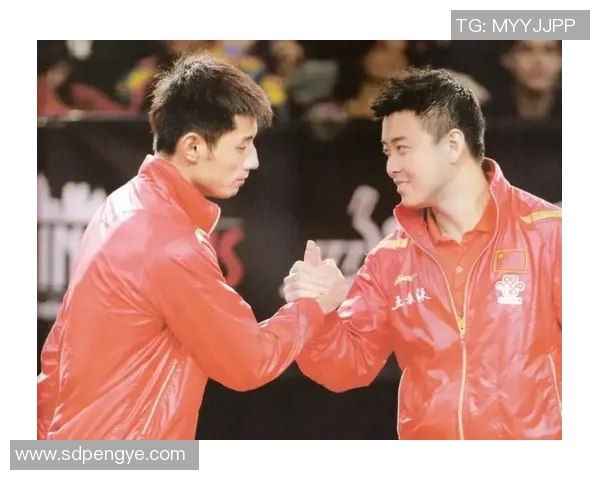 2013世乒赛巅峰对决张继科王皓精彩瞬间剪辑视频回顾